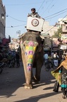 Elefant am Vegetable Market ... die unappetitliche Annekdote dazu gibt es dann Privat ;) ... ach egal ... einem Elefanten ist es egal wo er seine Blase leert ..........