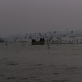 Boot auf dem Ganges