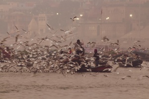 Boot auf dem Ganges